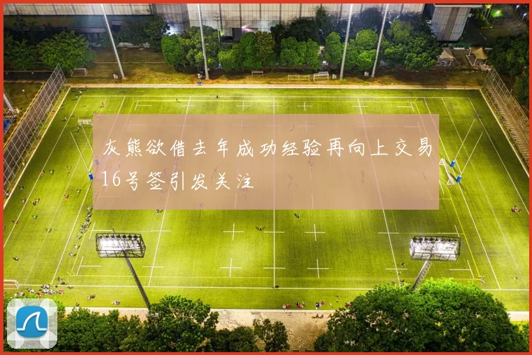 灰熊欲借去年成功经验再向上交易16号签引发关注