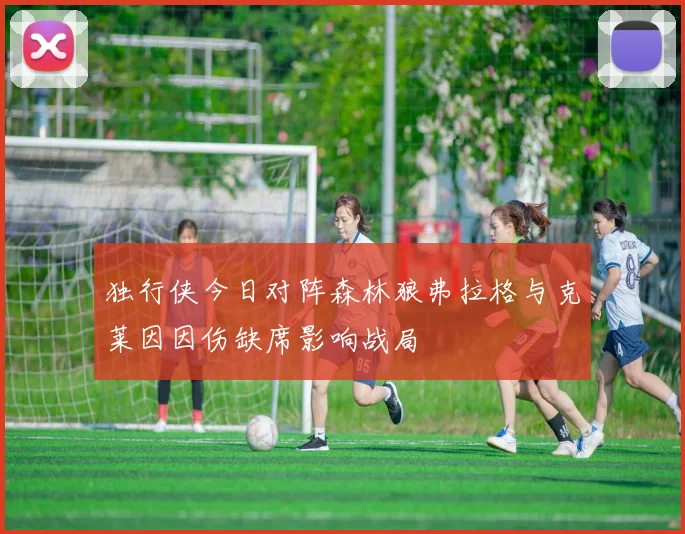 独行侠今日对阵森林狼弗拉格与克莱因因伤缺席影响战局